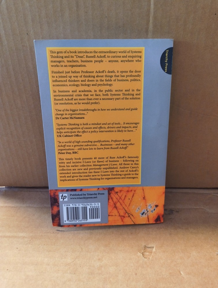 Systems Thinking for Curious Managers : With 40 New Management F-Law by Herbert