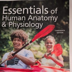 Essentials of Human Anatomy and – Paperback, by Suzanne Keller Acceptable 13 ed