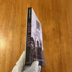 Politics and Culture in Modern America Ser.: Queer Clout : Chicago and the Rise
