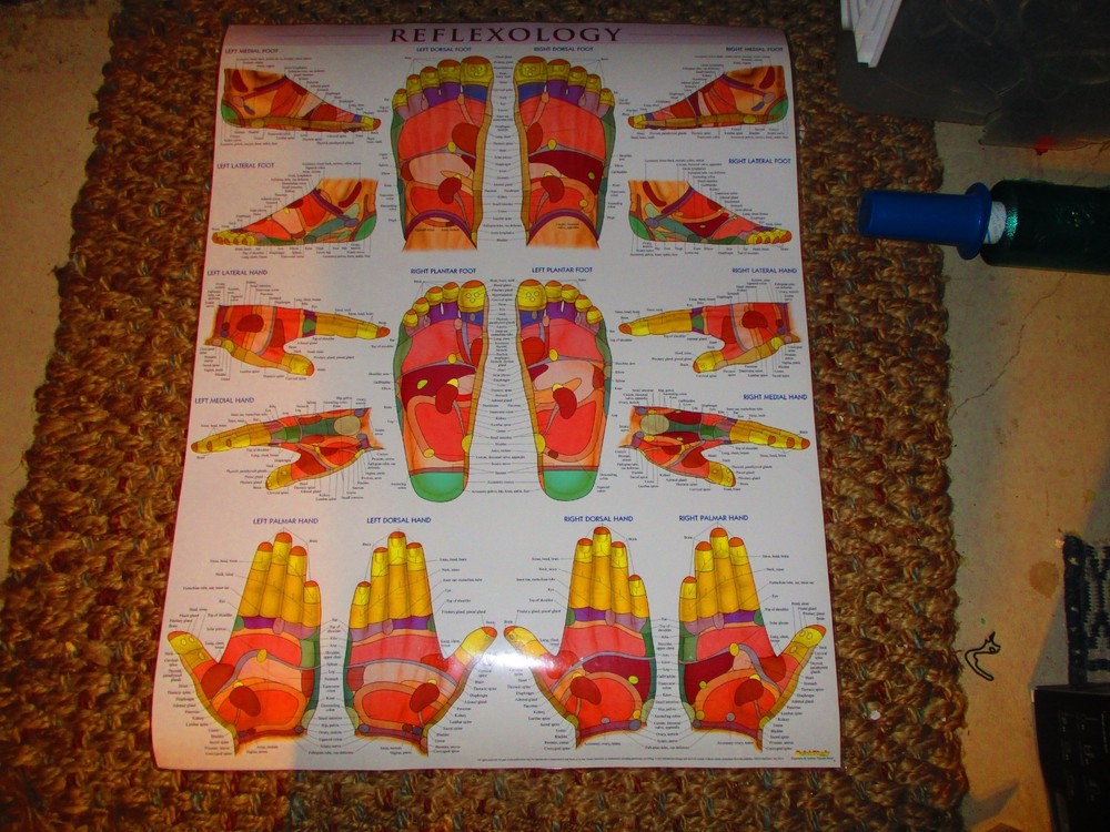 2 Quick Study Medical laminated Poster vincent perez 28 x 22