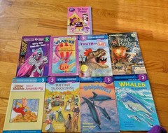 Lot Of 75 Learn To Read Books, Levels 0-4