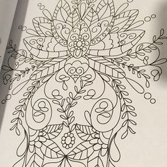 Coloring Book for Adults Relaxation: Flower, Floral, Butterfly Birds.. 160 pages