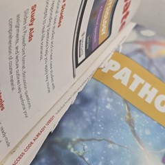 Pathophysiology : A Practical Approach by Lachel Story (2020, Trade Paperback)