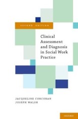 Clinical Assessment and Diagnosis in Social Work Practice – Hardcover – GOOD