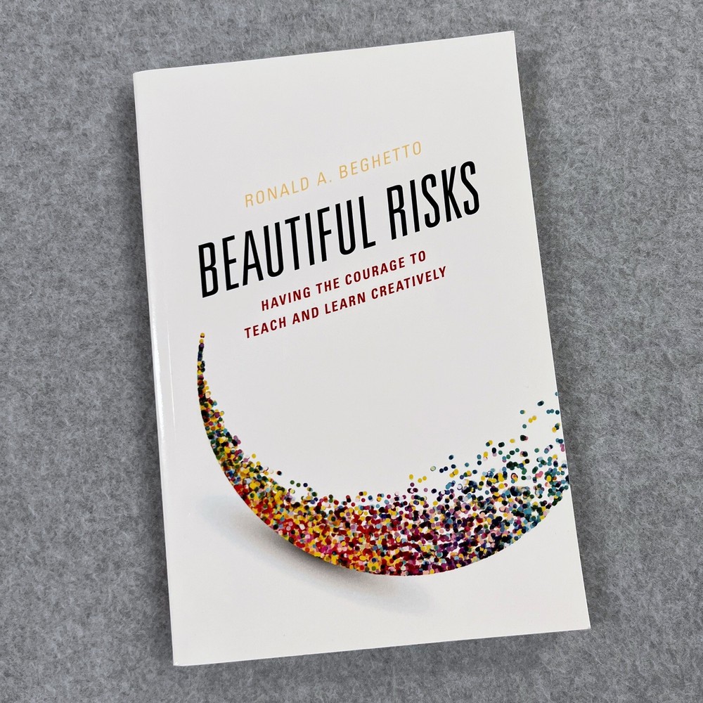Beautiful Risks : Having the Courage to Teach and Learn Creatively, Paperback