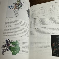 Anatomy of Gene Regulation : A Three-Dimensional Structural Analysi