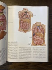 CIBA Collection – Medical Illustrations – Vol 3 Part III – Digestive System EX