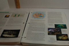 Campbell Biology 10th Edition Binder-ready Looseleaf Textbook Pearson A La Carte