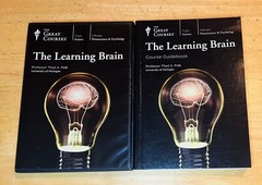 THE GREAT COURSES THE LEARNING BRAIN 4 DVDs & COURSE GUIDEBOOK EXCELLENT