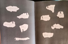 The Look of the Book: Jackets, Covers & Art at the Edges of Literature