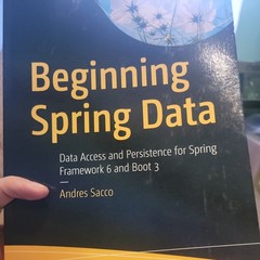 Beginning Spring Data : Data Access and Persistence for Spring Framework 6…