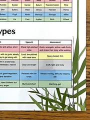 Laminated Wall Chart The Five Elements of Chinese Medicine Miridia Acupuncture
