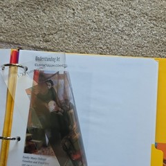 Glencoe/McGraw-Hill Understanding Art Fine Art Transparencies Instructor Guide …
