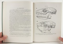 A.M. Husson’s The Mammals of Suriname 1978 Brill VG+ Zoology 152 Species
