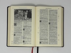 Biblia Sacra Latin Vulgate Clementine Edition Catholic Illustrated Bible Reprint