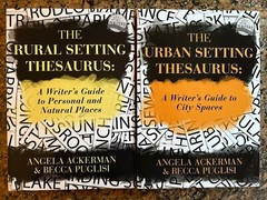2 New Trade Paperbacks The Rural & Urban Setting Thesaurus Ackerman & Puglisi