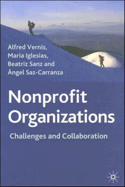 Vernis – Nonprofit Organizations Challenges and Collaboration – New – X555z