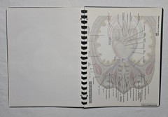 Schick Notebook Charts Human Anatomy Softcover Spiral Bound Book (1987)