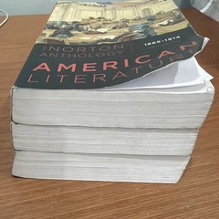 The Norton Anthology of American 10th Edition Paperback -Used