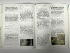 Abeka Science Order & Design textbook homeschool 7th grade