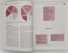 Health Promotion Throughout the Lifespan by Edelman & Mandle, PB 4th Edi. B174