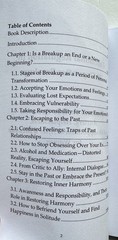 2025 Emotional Regulation in 30 Days after Breakup by A. Soulu PB