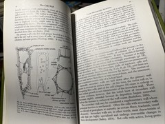 Plant Anatomy Esau, Katherine 1965 Illustrated Botany Textbook Vtg 1960s Rare