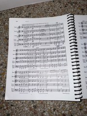 A Complete Guide to Brass: Instruments and Technique (with CD-ROM) 3rd Edition