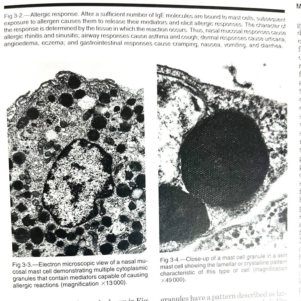 Vintage Jama Primer on Allergic and Immunological Diseases Book Hardcover 1992