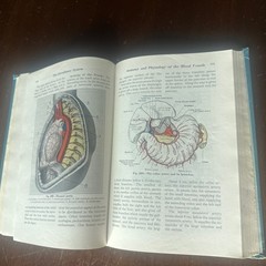 Anatomy & Physiology 3rd Ed 1946 By Frederic Jung &Elizabeth Earle 338 Illustra