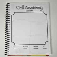 Apologia Junior Anatomy Notebooking Journal Spiral, Young Explorer Series