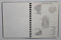 Schick Notebook Charts Human Anatomy Softcover Spiral Bound Book (1987)