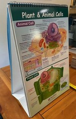 Vintage Science Stem School Learning Grade 8 Book Dry Erase Flip Chart Like New!
