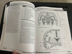 Netter Basic Science Ser.: Netter’s Neuroscience Coloring Book 2018.