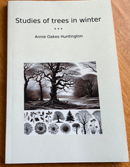 Studies of Trees in Winter By Annie Oakes Huntingdon REPRINT New Free UK Postage