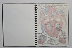 Schick Notebook Charts Human Anatomy Softcover Spiral Bound Book (1987)