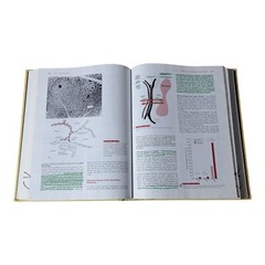 Guyton and Hall Textbook of Medical Physiology Tenth Edition Hardcover Book