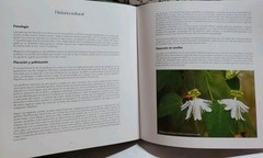 Passiflora en Bolivia Identification Guide Hermes Justiniano Suarez Signed Botan