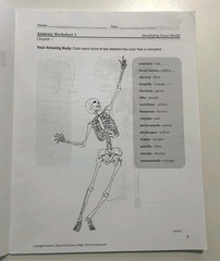 A Beka Developing Good Health Textbook Tests Key Homeschool Curriculum 3E Abeka