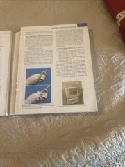 Essentials for Nursing Practice by Patricia A. Stockert, Patricia A. Potter,…