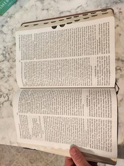 The New American Bible Large Print Edition Oxford University Press 12 Point Type