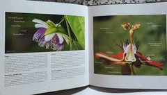 Passiflora en Bolivia Identification Guide Hermes Justiniano Suarez Signed Botan