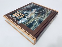 Principles of Life Instructor’s Edition Hillis Sadava Heller Price Bio Textbook