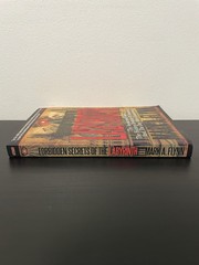 Forbidden Secrets Of The Labyrinth Book Mark Flynn Paperback America Conspiracy