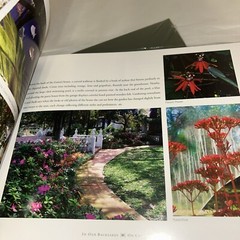 IN OUR BACK YARDS NEW 120 Pages Hardcover Public And Private Gardens Of Texas Co