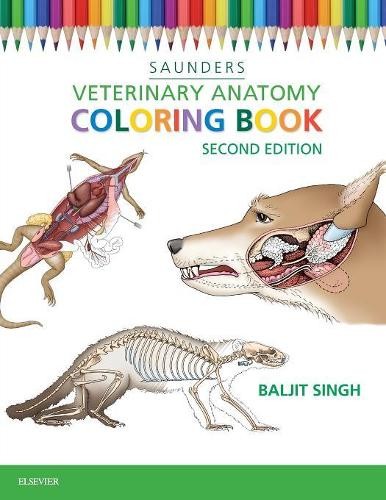 Baljit Singh Veterinary Anatomy Coloring Book (Paperback) (UK IMPORT)