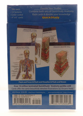 Anatomy 2 Flash Cards:A QuickStudy Reference Tool by Vincent Perez (Flash Cards)