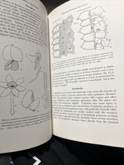 Plant Anatomy Esau, Katherine 1965 Illustrated Botany Textbook Vtg 1960s Rare