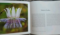 Passiflora en Bolivia Identification Guide Hermes Justiniano Suarez Signed Botan
