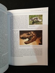 Introduction to Human Evolution 1st Edition 2015 Crane-Kramer Anthropology PB